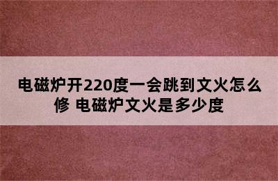 电磁炉开220度一会跳到文火怎么修 电磁炉文火是多少度